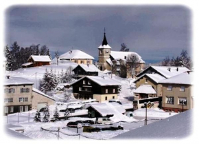Le Cernois -Centrre du village - pistes de luge, ski fond, patinoire, commerces à 100m Prémanon